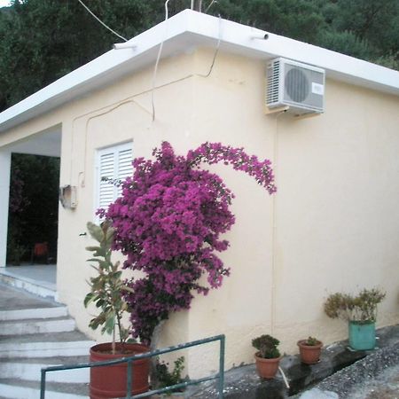 Faliraki Apartments Benitses  Eksteriør bilde
