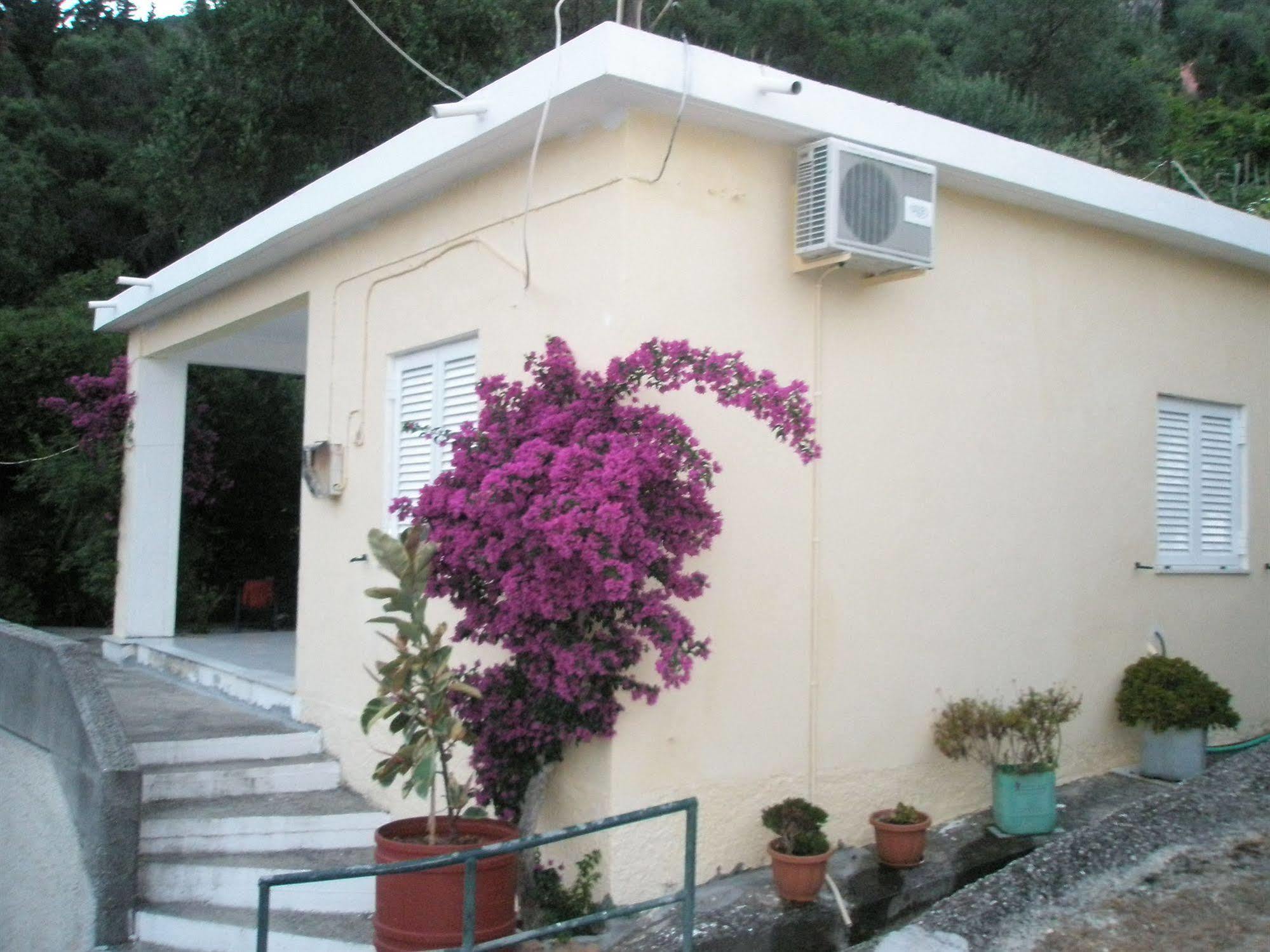 Faliraki Apartments Benitses  Eksteriør bilde